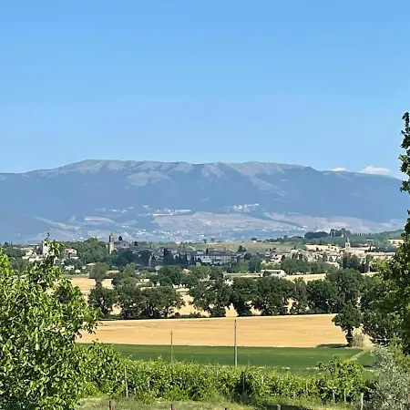 Maison d'hôtes Del Colle