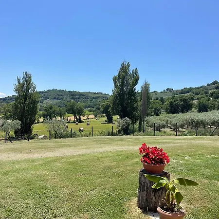 Del Colle Casa de hóspedes Bevagna