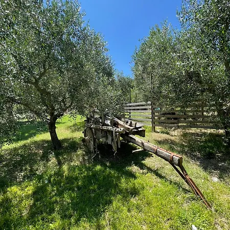 Del Colle Maison d'hôtes *