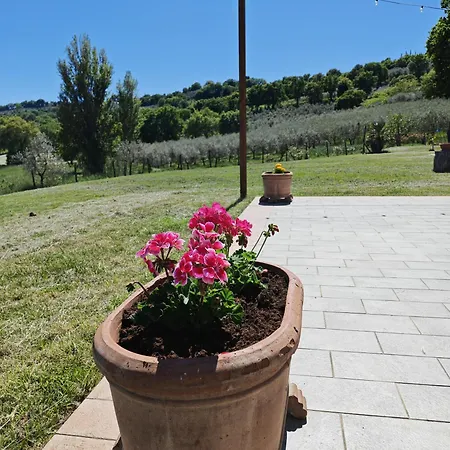 Del Colle
