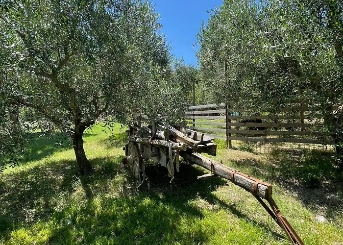 Del Colle ゲストハウス 3*